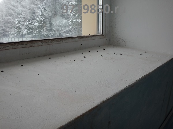  в бассейне не достаточная вентиляция и приходится открывать окна для проветривания в результате в помещении много насекомых